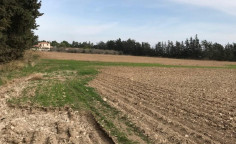 Residential 49092 m2 for sale in Meneou, Larnaca