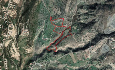 Residential 27828 m2 for sale in Peyia, Paphos