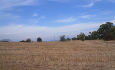 Land 15051 m2 for sale in Poli Crysochous, Paphos