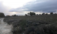 Residential for sale in Pachna, Limassol