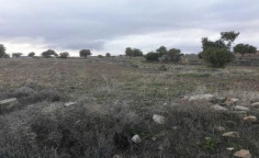Residential for sale in Pachna, Limassol
