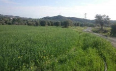 Residential 19594 m2 for sale in Anglisides, Larnaca