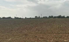 Residential 12375 m2 for sale in Agios Theodoros, Larnaca