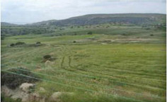Spacious commercial to buy in Monagroulli