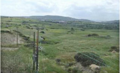 Spacious commercial to buy in Monagroulli