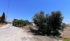 Share of residential field in Pyla, Larnaca , Larnaca