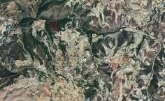 Two adjacent agricultural fields in Koili, Paphos 