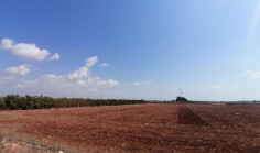 Beautiful agricultural for sale in Ormideia