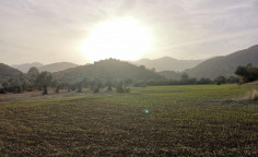 Share of agricultural field in Lythrodontas, Nicosia 