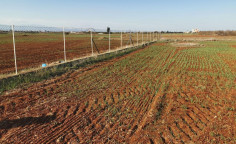 Industrial field in Palaiometocho 