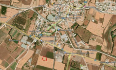 Share of agricultural field in Timi, Pafos 