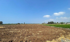 Share of agricultural field in Timi, Pafos 