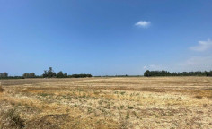 Agricultural for sale in Paphos