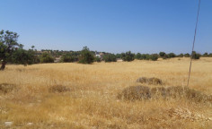 1/2 Share of industrial field in Ypsonas, Limassol 