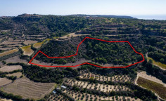 Agricultural field in Pissouri, Limassol 