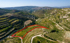 Agricultural field in Tsada, Paphos 