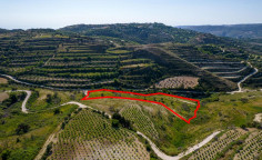 Agricultural field in Tsada, Paphos 