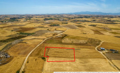 Agricultural field in Paliometocho 