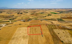 Agricultural field in Paliometocho 