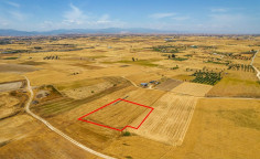 Agricultural field in Paliometocho 