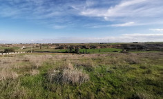 Share of agricultural field, next to Paliometocho stadium, Nicosia 