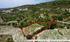 Residential field in Koilani, Limassol , Limassol