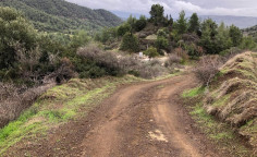 Agricultural for sale in Lysos