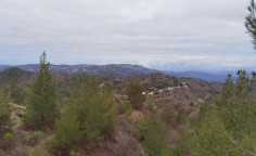 1/2 Share of agricultural field in foini, Limassol 