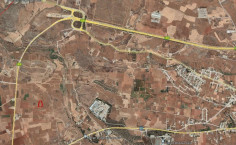 Agricultural field in Deneia, Nicosia 