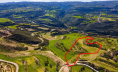 Agricultural for sale in Skoulli