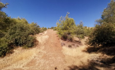 Agricultural field in Agios Theodoros soleas, Nicosia 
