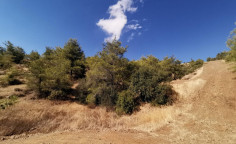 Agricultural field in Agios Theodoros soleas, Nicosia 