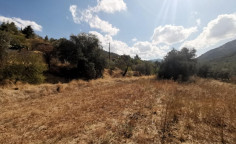 Share of residential field in Agios Theodoros soleas, Nicosia , Larnaca