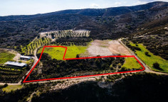 Two agricultural fields in Skarinou, Larnaka 