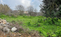 Residential field in Ineia, Paphos , Paphos