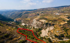 Agricultural field in Koilani, Limassol 