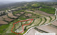 Field in Letymvou, Paphos 