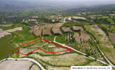 Field in Letymvou, Paphos 