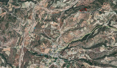 Share of agricultural field in Choulou, Paphos 
