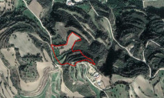 Share of two fields in Skoulli, Paphos 