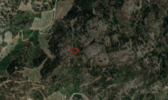 Two agricultural fields in farmakas, Nicosia 