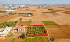Spacious residential for sale in Kokkinotrimithia, Nicosia