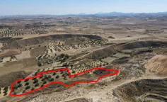 Agricultural field in Tseri, Nicosia 