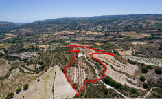 Agricultural field in Choulou, Pafos 