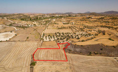 Agricultural field in Agia Varvara, Nicosia 