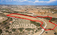 Agricultural field in anafotida, Larnaca 