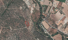 Agricultural field in Pyrgos, Limassol 