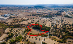 Residential field in Anglisides, Larnaca , Larnaca