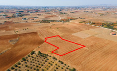 Agricultural field in Agioi Trimithias, Nicosia 