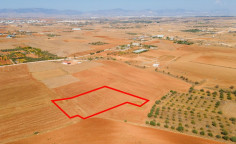Agricultural field in Agioi Trimithias, Nicosia 
